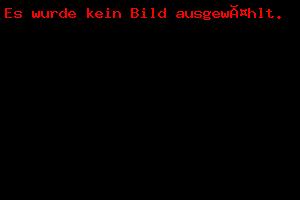 BEST OF - Umzüge 2020